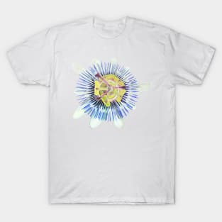 Passion of the Flower T-Shirt